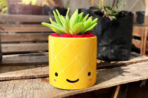 Trang trí bàn làm việc