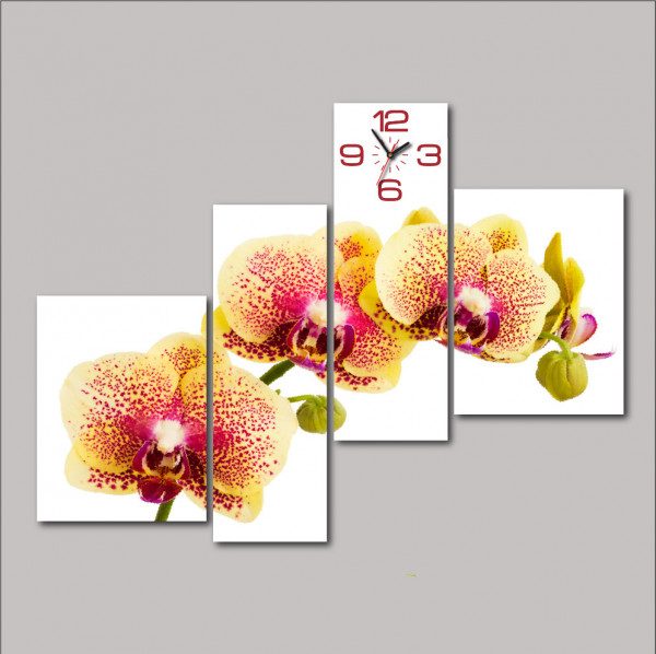 Tranh đồng hồ treo tường