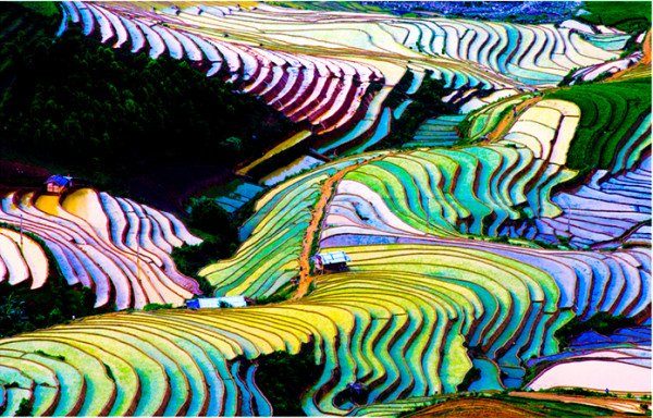 Vẽ tranh đề tài phong cảnh