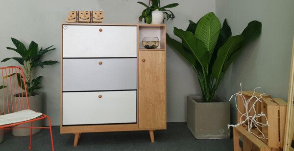 Tủ Giày Thông Minh "Giá Tốt" Cùng 101+ Mẫu Mã Độc Đáo