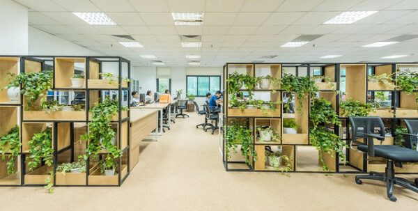 Thiết Kế Nội Thất Văn Phòng "ĐẸP - CHUYÊN NGHIỆP" Từ Chuyên Gia
