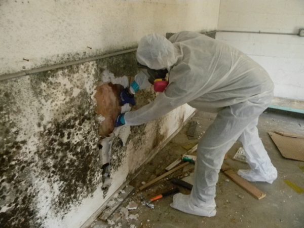 Dịch vụ chống thấm tại Nghệ An Uy Tín - Tiết Kiếm - Hiệu Quả 100%
