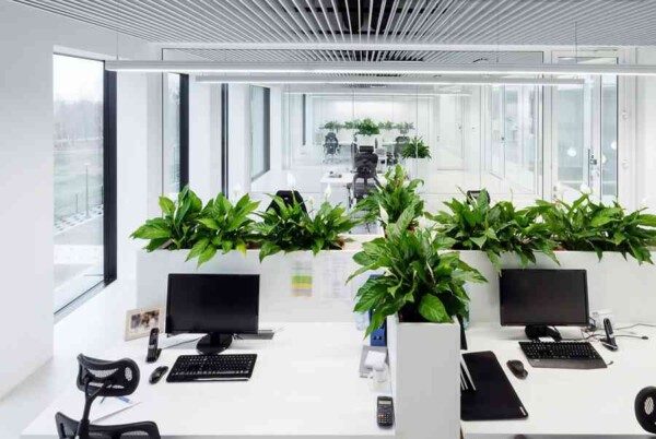10 Mẫu Thiết Kế Thi Công Nội Thất Văn Phòng Tại TP Vinh, Nghệ An Đẹp 2022