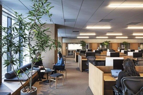 10 Mẫu Thiết Kế Thi Công Nội Thất Văn Phòng Tại TP Vinh, Nghệ An Đẹp 2022