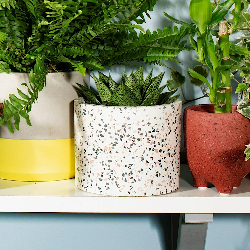Cơ Sở Cung Cấp Chậu Cảnh Terrazzo Tại Sơn La Uy Tín