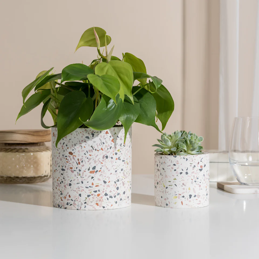 Cơ Sở Cung Cấp Chậu Cảnh Terrazzo Tại Sơn La Uy Tín