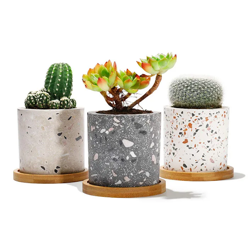 Bật Mí Cơ Sở Cung Cấp Chậu Cảnh Terrazzo Tại Phú Thọ Uy Tín, Chất Lượng