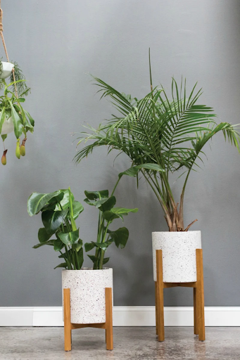 Cơ Sở Cung Cấp Chậu Cảnh Terrazzo Tại Thái Nguyên Giá Tốt