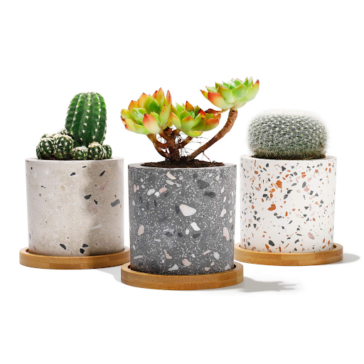 Cơ Sở Cung Cấp Chậu Cảnh Terrazzo Tại Tuyên Quang Giá Rẻ