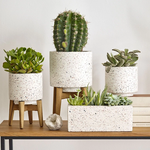Cơ Sở Cung Cấp Chậu Cảnh Terrazzo Tại Lạng Sơn Chất Lượng