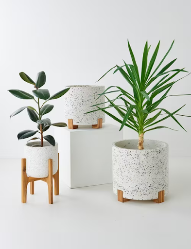 Cơ Sở Cung Cấp Chậu Cảnh Terrazzo Tại Thái Nguyên Giá Tốt